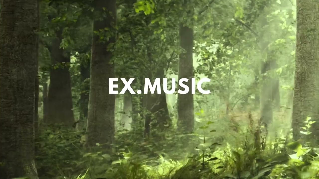 eX. - Electric ocean