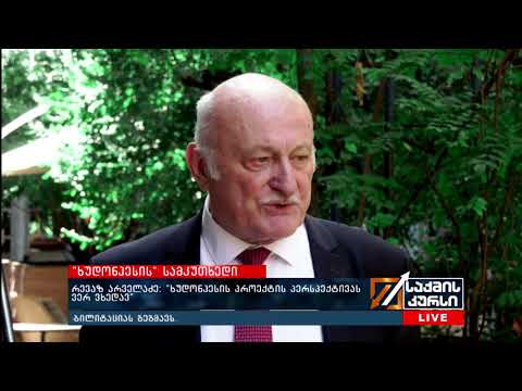 რევაზ არველაძე: \" ხუდონჰესის პროექტის პერსპექტივას ვერ ვხედავ\"