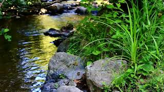 S 2 E 23. THE BIRTH OF ETHICS 
A conversation with Philip Pettit (2)