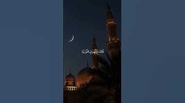 سورة الفتح |29|القارئ:#ياسر_الدوسري #قران #quran #راحة_نفسية #قران_كريم #تلاوة