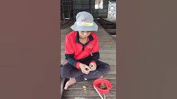 Cách móc bánh mì câu cá tra đơn giản và hiệu quả #câucá #fishing #mientay #cauca #giaitri #xuhuong