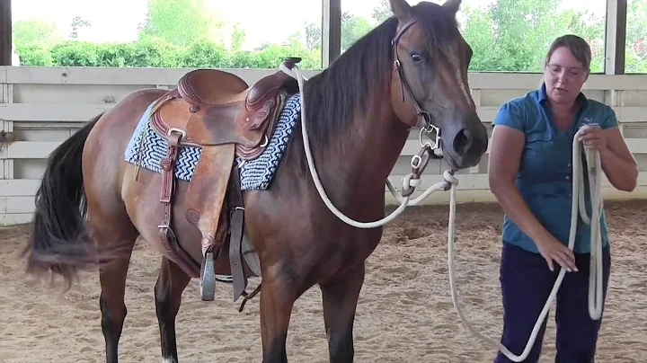 First Ride - Lindsey Scofield - Horse Training Hou...
