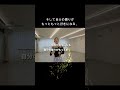 大人バレエの上達ロードマップ