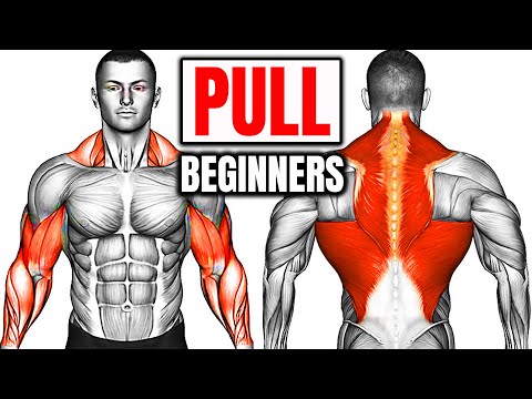 The Perfect Beginners PULL Workout For Growth💪(Back/Biceps/Rear Delts)