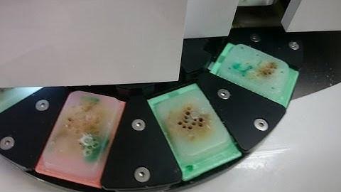 EverBio AutoTiss 10C - Fully Automated TMA tutorial video ENG