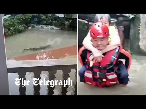 Crocodiles on the loose in China after escaping during typhoon flooding