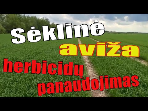 Video: Kaip sumaišyti Celsijaus WG herbicidą?