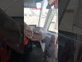 Львёнок