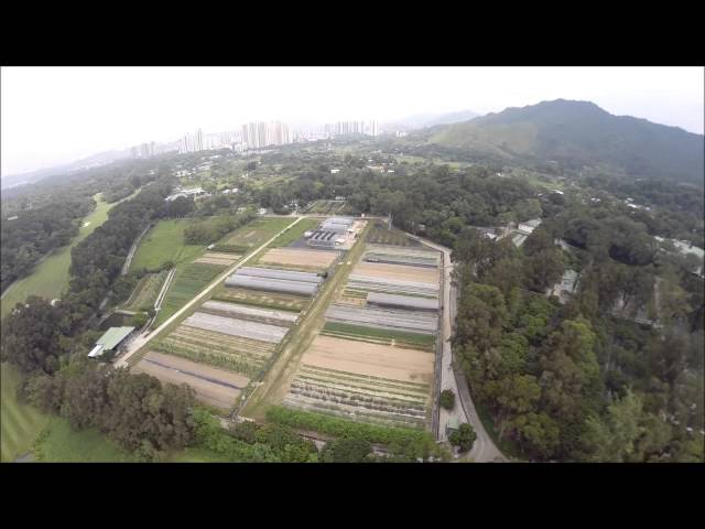 Beautiful Hong Kong series - Fanling golf course