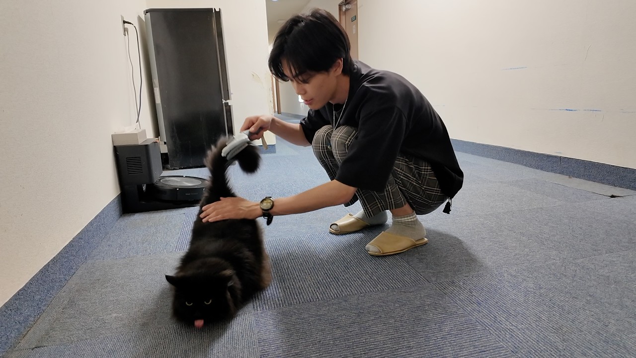 I stayed at a hotel full of cats - YouTube