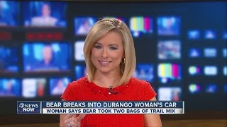 Bear steals trail mix from car