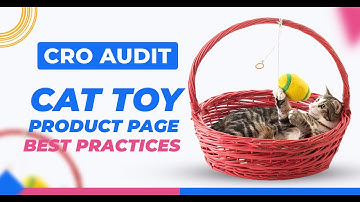 Cat Toy Product Page Landing Page Best Practises and More Landing Page Audits