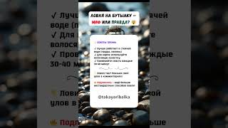 🎣 ЛОВЛЯ НА БУТЫЛКУ: Секретная техника для ленивых рыбаков!