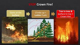 Tools to Reduce Fuels  and the Basics of Fire Behavior