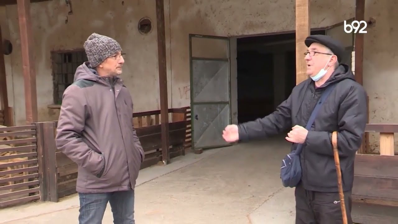 Plodno i Rodno - Farma ovaca Matić