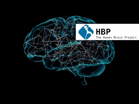 Brain project. Human Brain Project. Мозги проект. Проект мозг. Human Brain Project логотип.