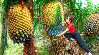 Harvest Giant Sea Pineapples (Reveal The Secret Behind The Strange Shape)  Goes to the market sell