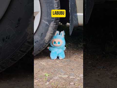 Раздавил Лабубу колесом #лабубу #labubu #интересно #игрушки #toys #тутор #harinezumi #bleach #viral