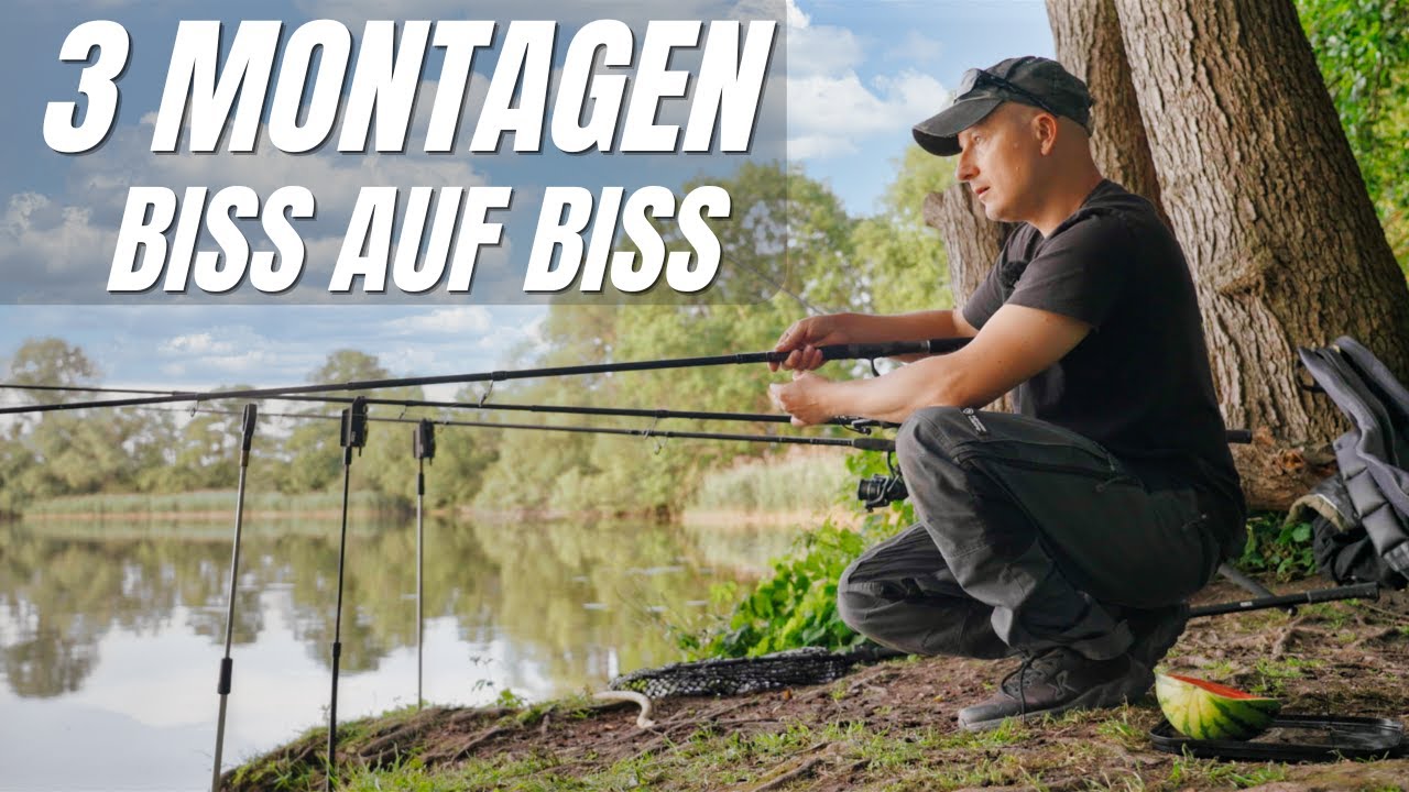 Ansitz im See auf ZANDER und AAL