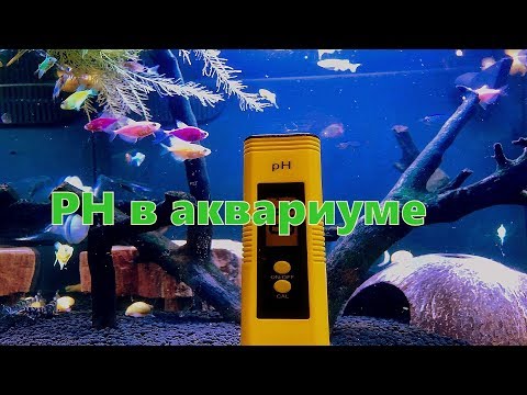 Video: Akvariumda Ph Necə Endirilir
