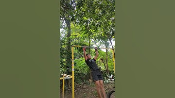 PNP BISOCTHENICS CL-ALAB-TALA