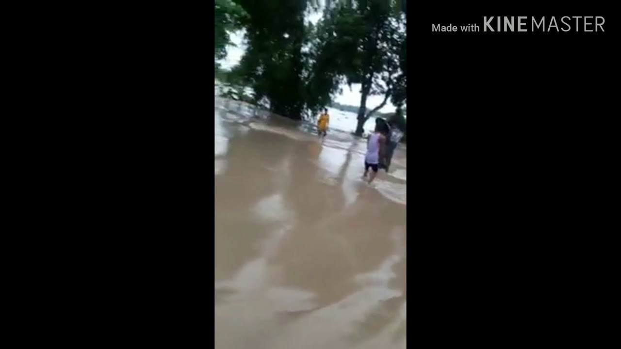 Dhubri Flood 2019 update. Today morning Sapatgram Nayahat Video.