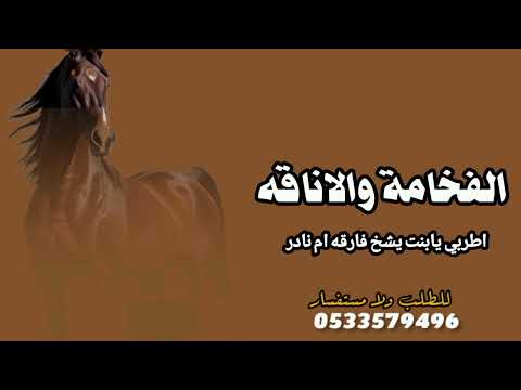 شيلة الفخامة والاناقه اداء متعب الخيل 2025 اطربي يابنت شيخ فارقه والشاهد الله شيلة مدح ام نادر