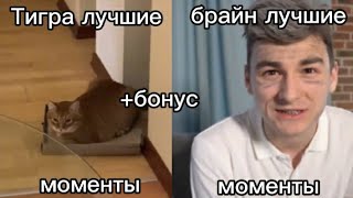 [ТИГРА ЛУЧШИЕ МОМЕНТЫ] 3 ЧАСТЬ +бонус