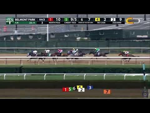 Tremenda carrera de mi caballo Cheeky Tico en Belmont Park. Listo para  ganar en Saratoga - YouTube