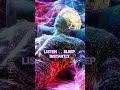 FINALLY Sleeping Tonight Binaural Insomnia Relief  #insomnia #sleephelp #deepsleep #sleepmusic  #usa