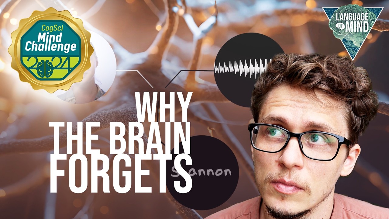 Why do we forget? The neuroscience of memory - YouTube
