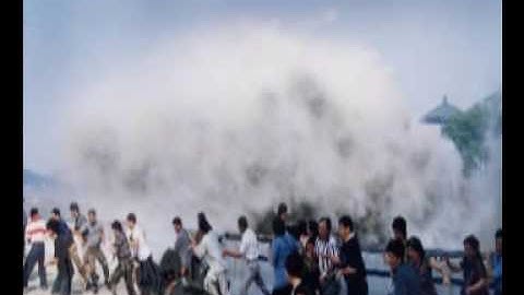 تلاوة عذبة بصوت الشيخ ياسر الفيلكاوي - سورة الزلزلة