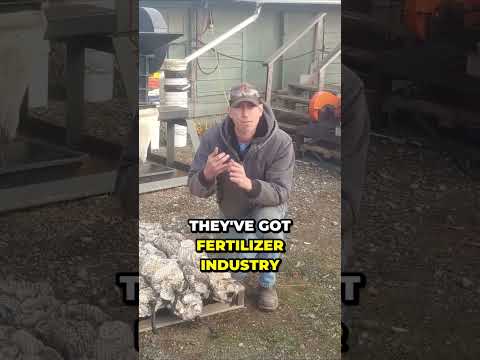 Video: Oyster Shell Mulch Info – So verwenden Sie Austernschalen im Garten