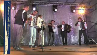 Video thumbnail of "Fisarmonica -XI° Festival- Piazza al Serchio (LU) "GRAN FINALE""