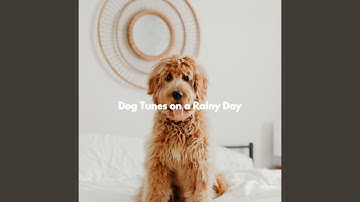 High Class Ambience for Spirited Flow