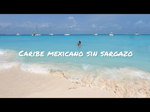 Video: Las mejores playas sin algas en México