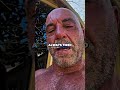 Why Joe Rogan Has MASSIVE Grip Strenght💪