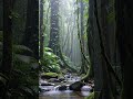 deep jungle rain #nature #animation #aivideo #satisfying #trending #viral #sound #like #subscribe