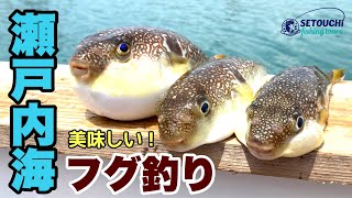 フグ釣り In 岡山県宇野港発 瀬戸内海 ショウサイフグ カットウ釣り Youtube