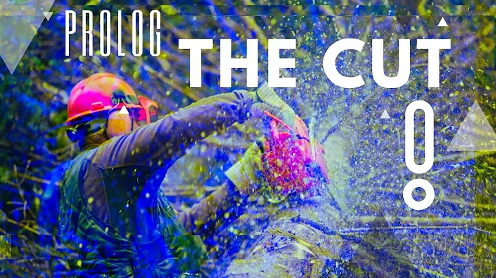 The Cut in Prolog (control backtracking using side-effects)