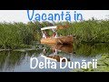 Descopera Delta Dunarii - destinatie de suflet in Romania!