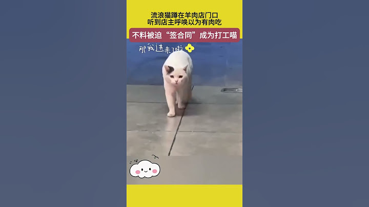 流浪猫蹲在羊肉店门口，听到店主呼唤以为有肉吃，不料被迫“签合同”成为打工喵 #萌宠 #宠哈哈 #猫咪