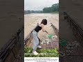 Setting Fish Traps Downstream – A River Harvest 🌊🐟