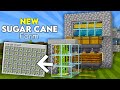 EASY 1.17 SUGARCANE FARM TUTORIAL in Minecraft Bedrock (MCPE/Xbox/PS4/Switch/PC) | Zero-Tick