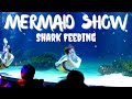 KOREA | Fish Feeding + Mermaid Show | Hanwha Aqua Planet 63