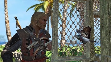 103. Assassin Contract (Île-à-Vache) - THE SLAVE MASTER