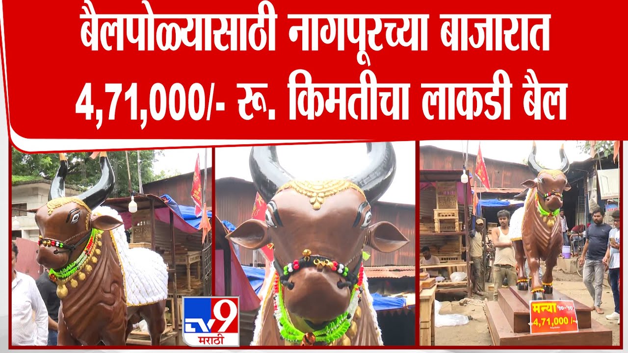 Nagpur Bail Pola | नागपूरच्या बाजारात बैलपोळ्यानिमित्त साडे चार लाख रूपये किमतीचा लाकडी बैल दाखल