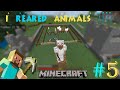 I STARTED REARING ANIMALS II Minecraft Mobile gameplay #5