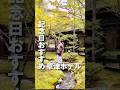 一生の思い出になる！記念日に泊まりたい草津温泉宿が贅沢すぎた