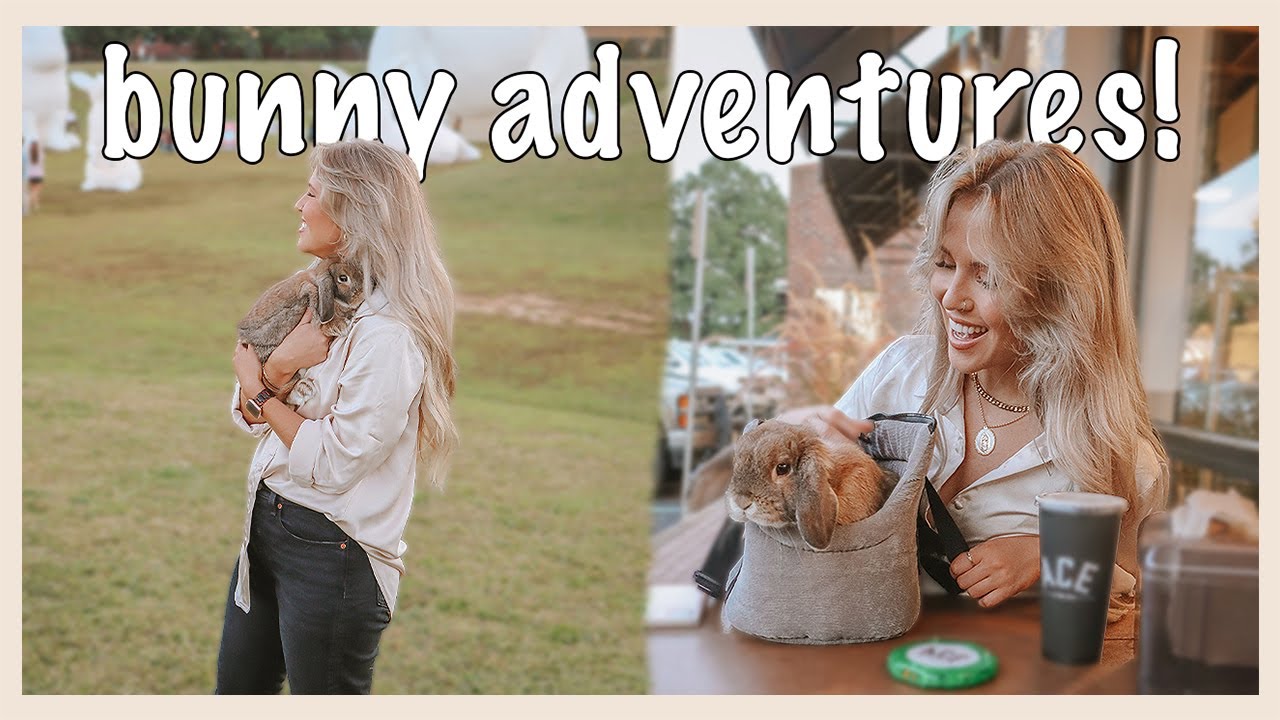 How I Take My Rabbit Out of the House Car Rides, and More